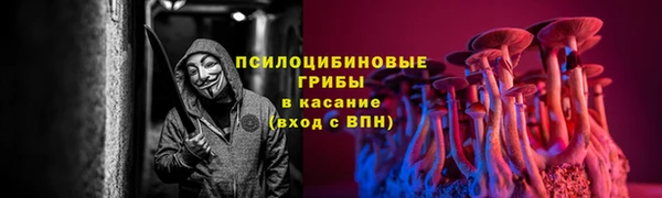 шишки Володарск