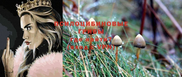 дживик Волосово
