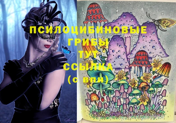 шишки Володарск