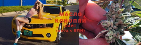 шишки Володарск