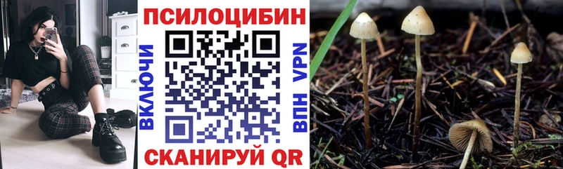Галлюциногенные грибы мицелий  Разумное 
