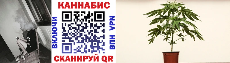 Конопля сатива  Разумное 